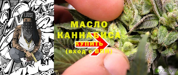 мдпв Гусев