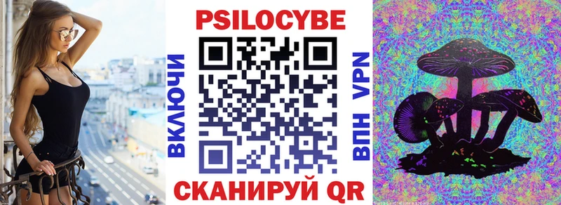 Галлюциногенные грибы Psilocybe  Тотьма 